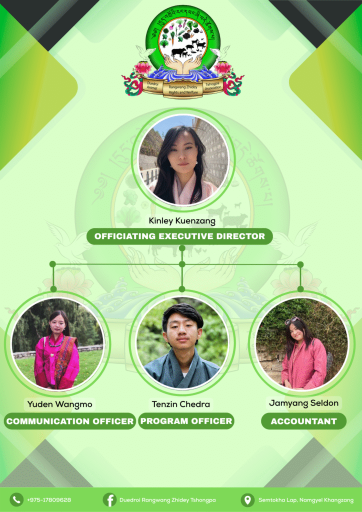 The current image has no alternative text. The file name is: First-Draft-2.png